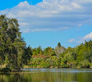 Clearwater Beach Attraction: Lake Seminole Park