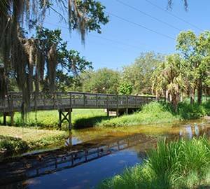 Siesta Beach Attraction: Red Bug Slough Preserve