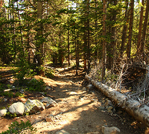 Breckenridge Attraction: Spruce Creek Trail