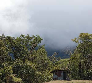 Panama City Beach Attraction: Volcan Baru National Park