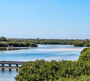 St. Petersburg Attraction: Weedon Island Preserve