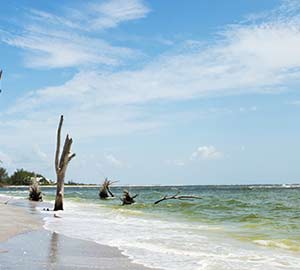 North Port Attraction: Stump Pass Beach