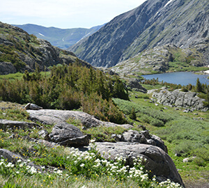 Breckenridge Attraction: McCullough Gulch Trail