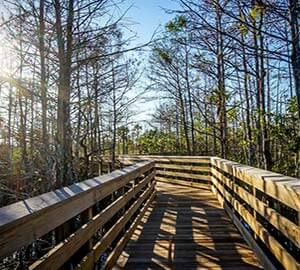 Panama City Beach Attraction: Conservation Park