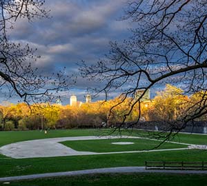 Brookline Neighborhoods