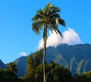 Hanalei Neighborhoods