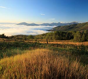 Wasatch Mountains Neighborhoods