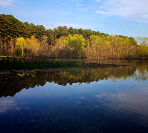 Lake Johnson Neighborhoods