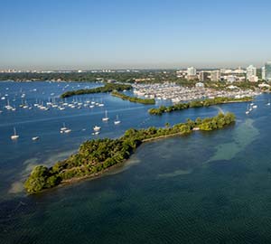 Coconut Grove Neighborhoods