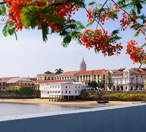 Casco Antiguo Neighborhoods