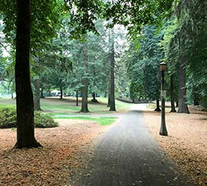 Laurelhurst Neighborhoods