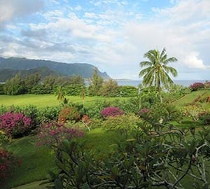 Hanalei Bay Neighborhoods