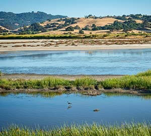 Petaluma Neighborhoods