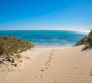 Barefoot Beach Neighborhoods