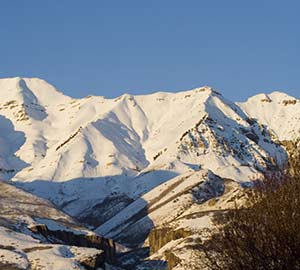 Timpanogos Neighborhoods