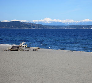 Alki Beach Neighborhoods